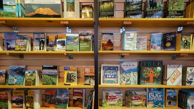 Multiple books line wooden shelves